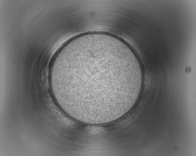 X0000111920886200908241048