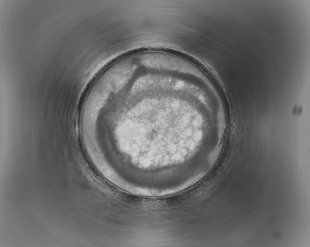 X0000111920887200908241048