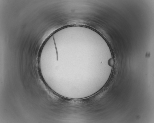 X0000111920893200908241048