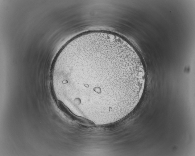 X0000111920895200908241048