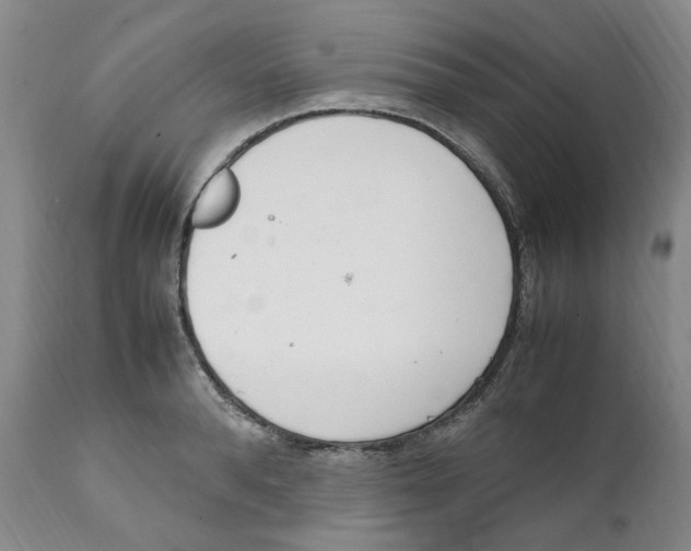 X0000111920896200908241048