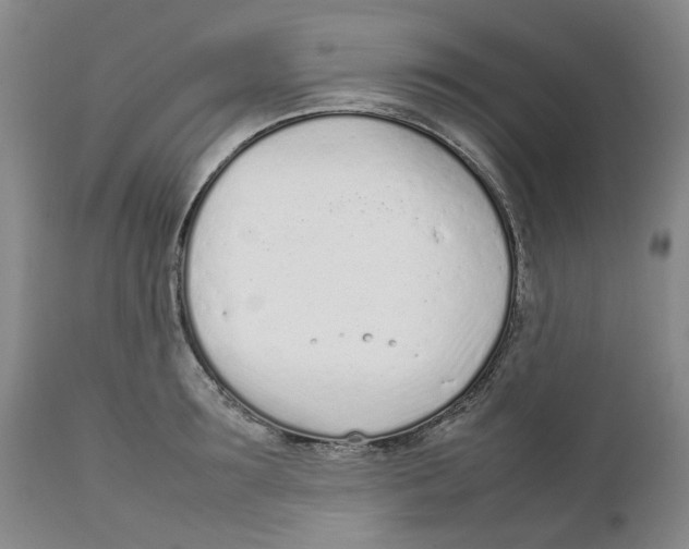 X0000111920899200908241048