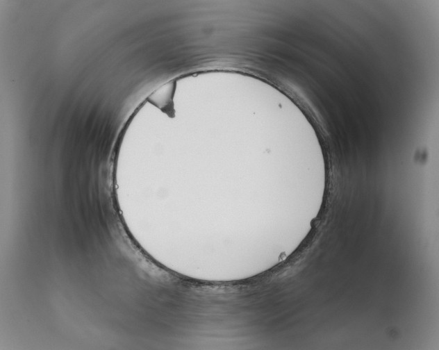 X0000111920900200908241048