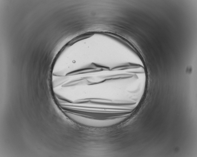 X0000111920901200908241048