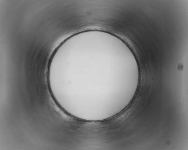 X0000111920902200908241048