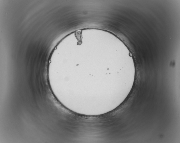 X0000111920904200908241048