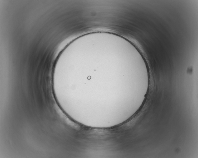 X0000111920910200908241048