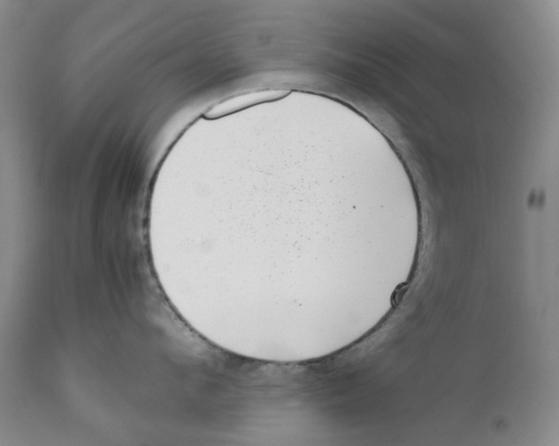 X0000111920912200908241048