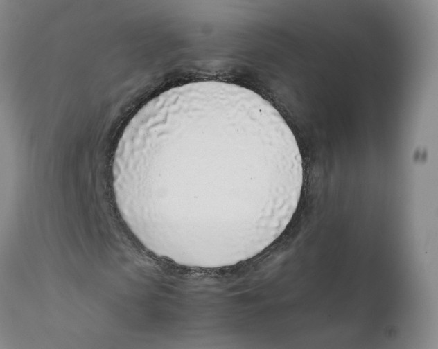 X0000111920913200908241047