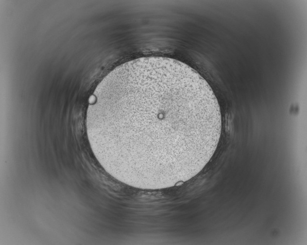 X0000111920915200908241047