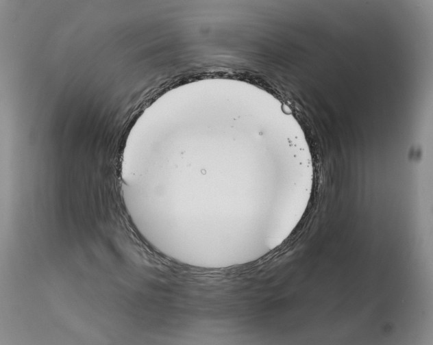 X0000111920916200908241047