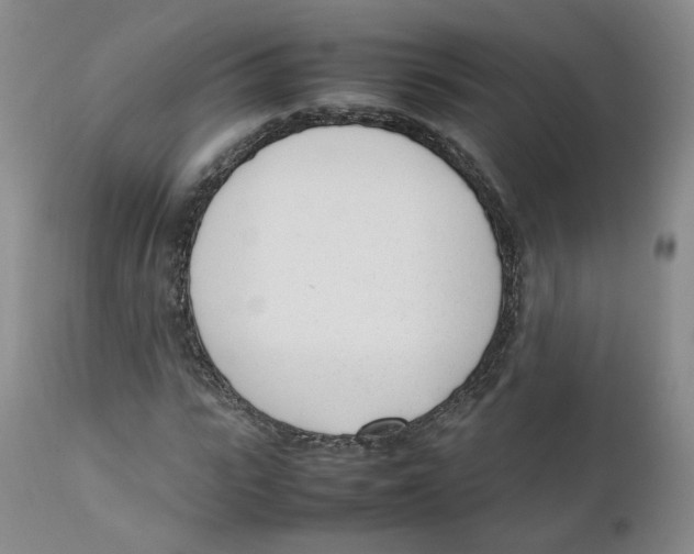 X0000111920919200908241047