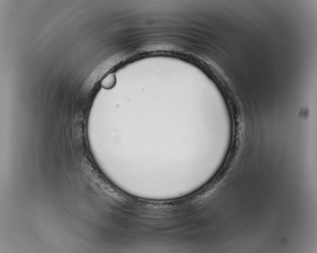 X0000111920921200908241047