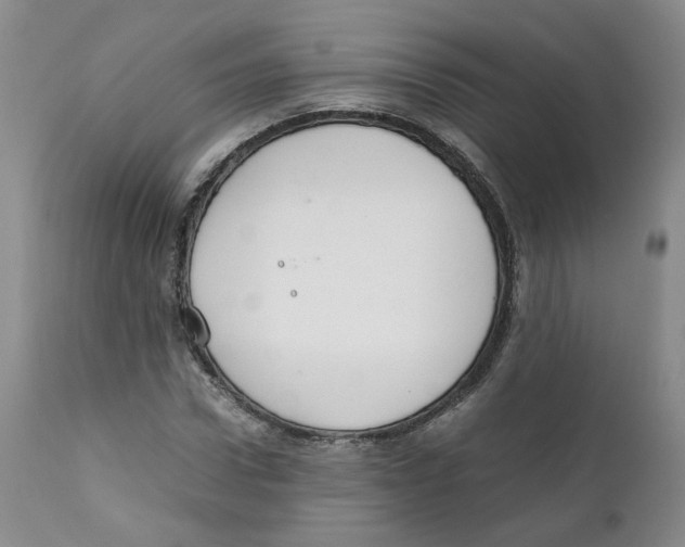 X0000111920922200908241047