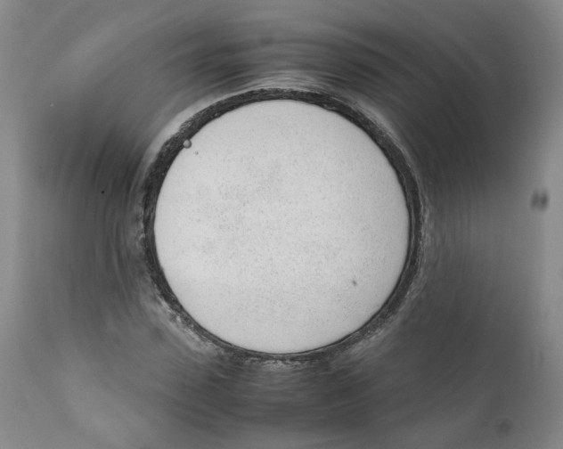 X0000111920923200908241047