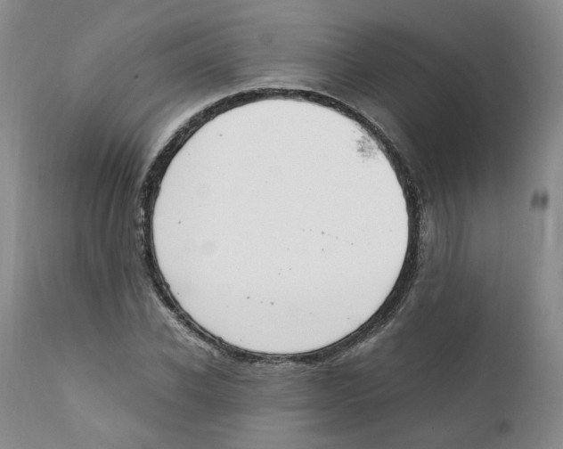 X0000111920926200908241047