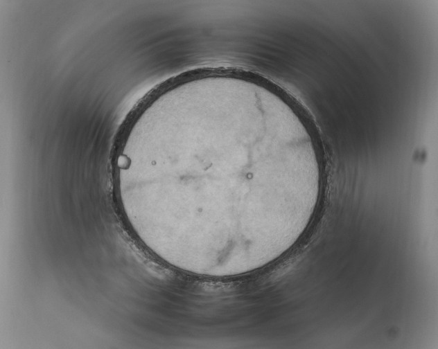 X0000111920927200908241047