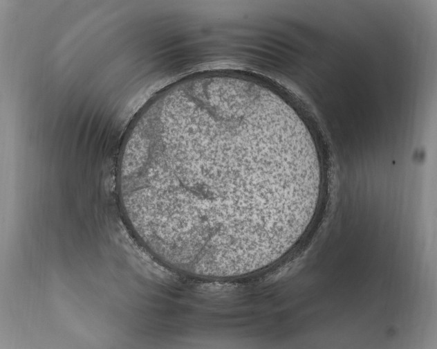 X0000111920929200908241047