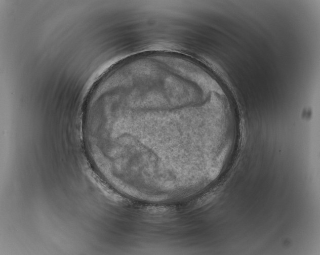 X0000111920931200908241047