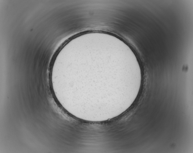 X0000111920932200908241047