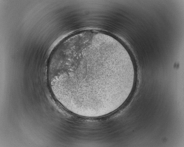 X0000111920933200908241047