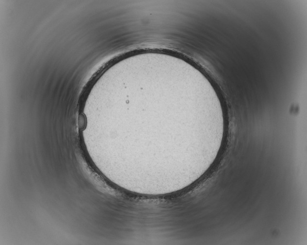 X0000111920934200908241047