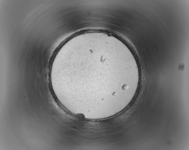 X0000111920935200908241047