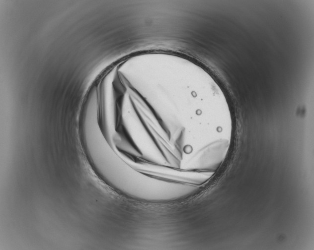 X0000111920936200908241047