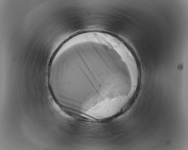 X0000111920941200908241047