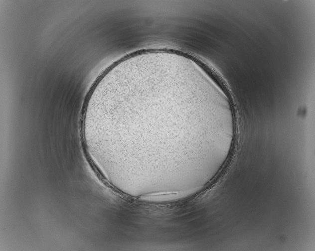 X0000111920943200908241048