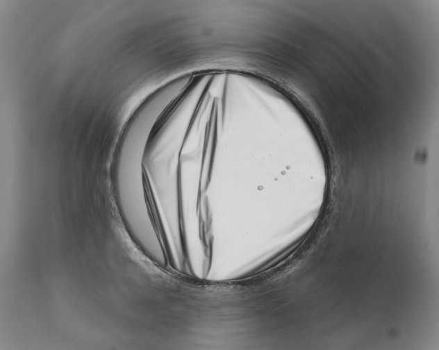 X0000111920944200908241048