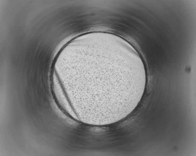 X0000111920947200908241048