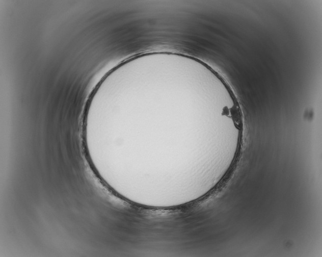 X0000111920949200908241048