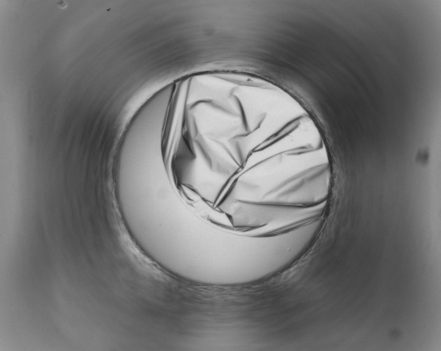 X0000111920952200908241048