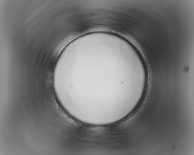 X0000111920953200908241048