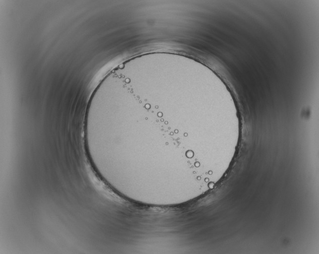 X0000111920954200908241048