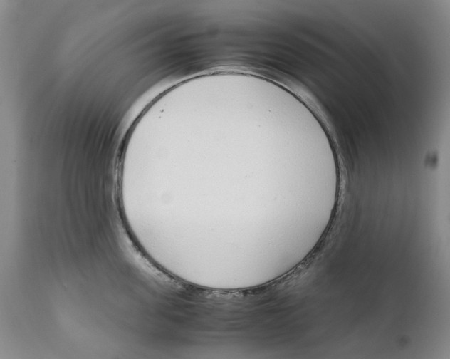 X0000111920955200908241048