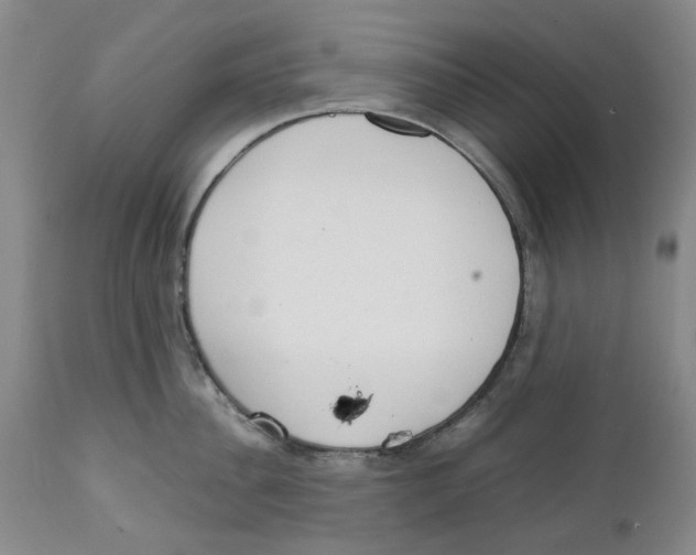 X0000111920956200908241048