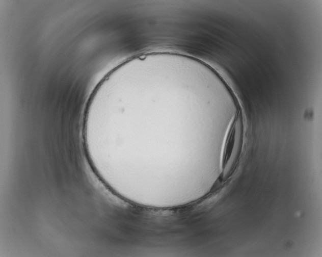 X0000111920957200908241048