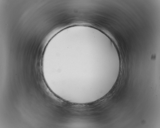 X0000111920959200908241048