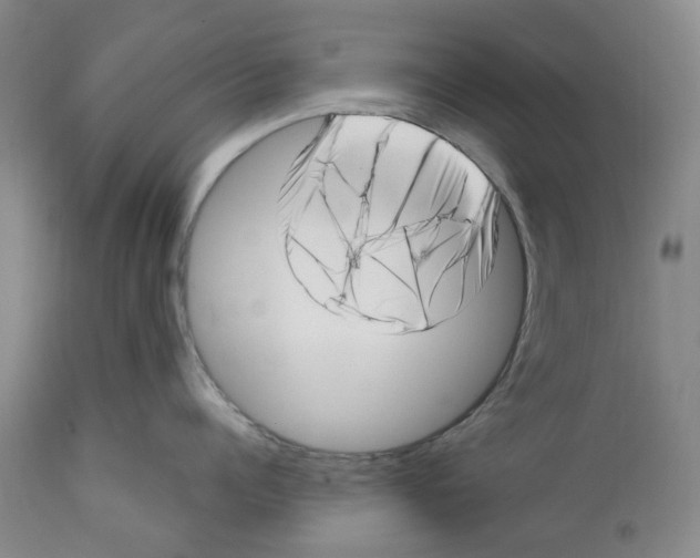 X0000111920960200908241048