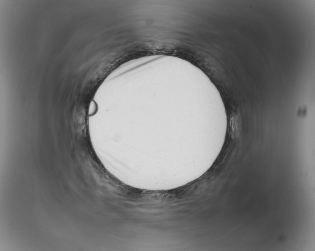 X0000111920963200908241047