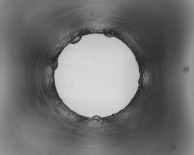 X0000111920964200908241047