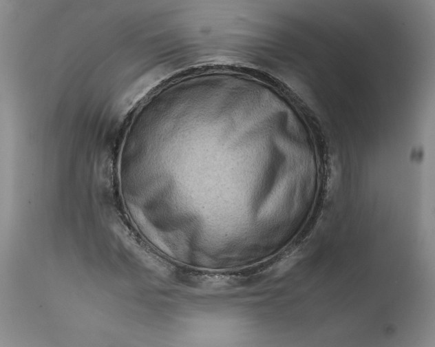 X0000111920969200908241047