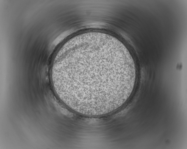 X0000111920970200908241047