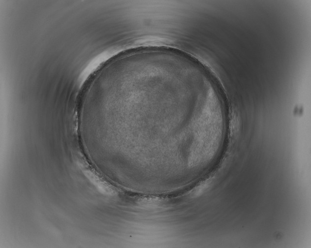 X0000111920973200908241047