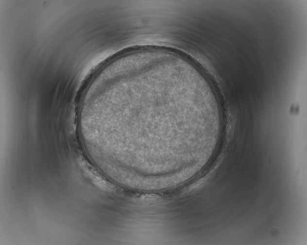 X0000111920974200908241047