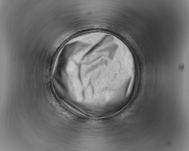 X0000111920977200908241047