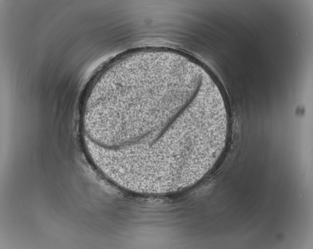 X0000111920979200908241047