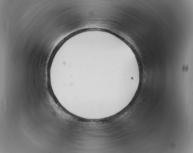 X0000111920980200908241047